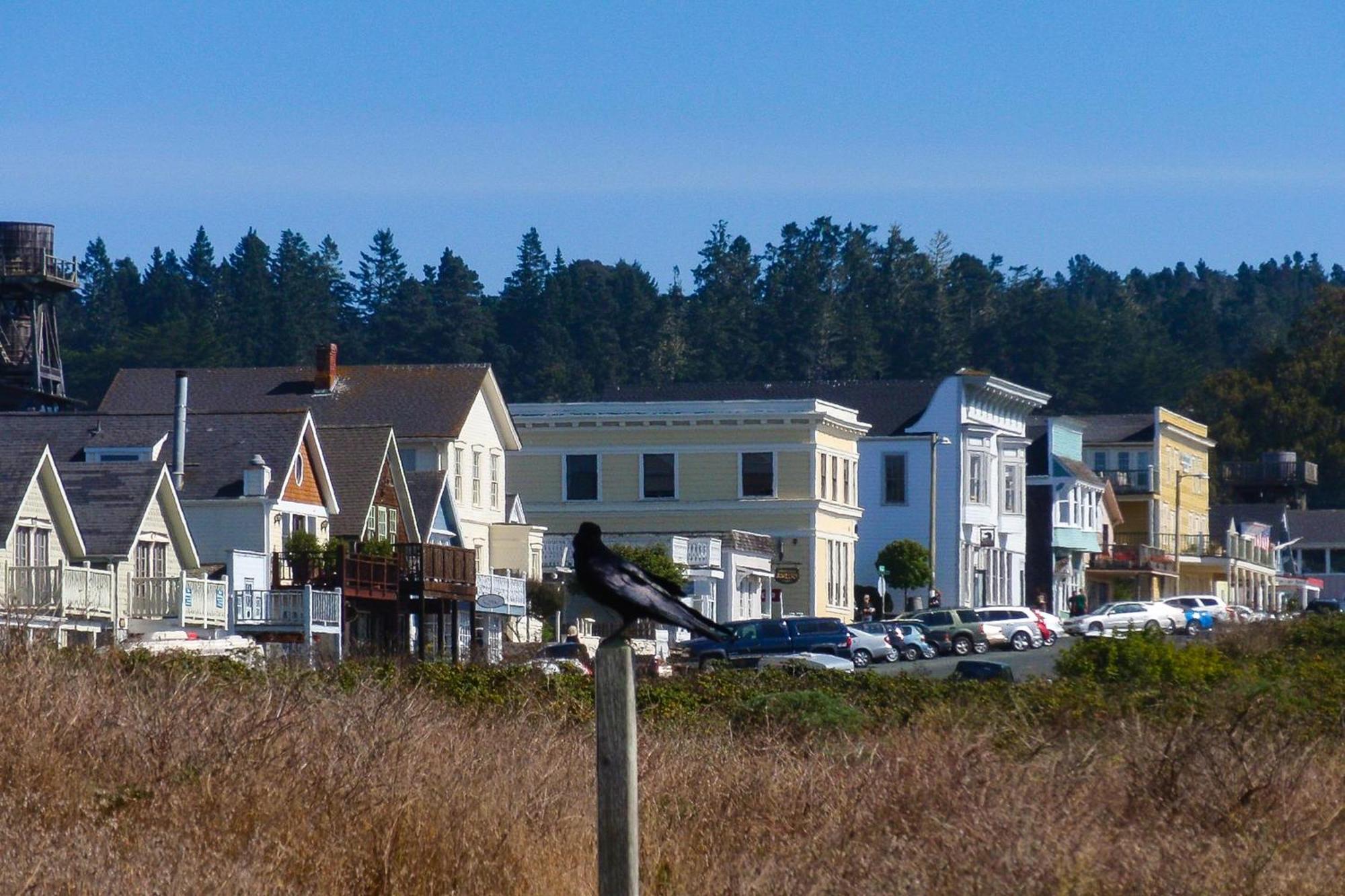 Mendocino Redwood Retreat - Vista Home Albion Extérieur photo