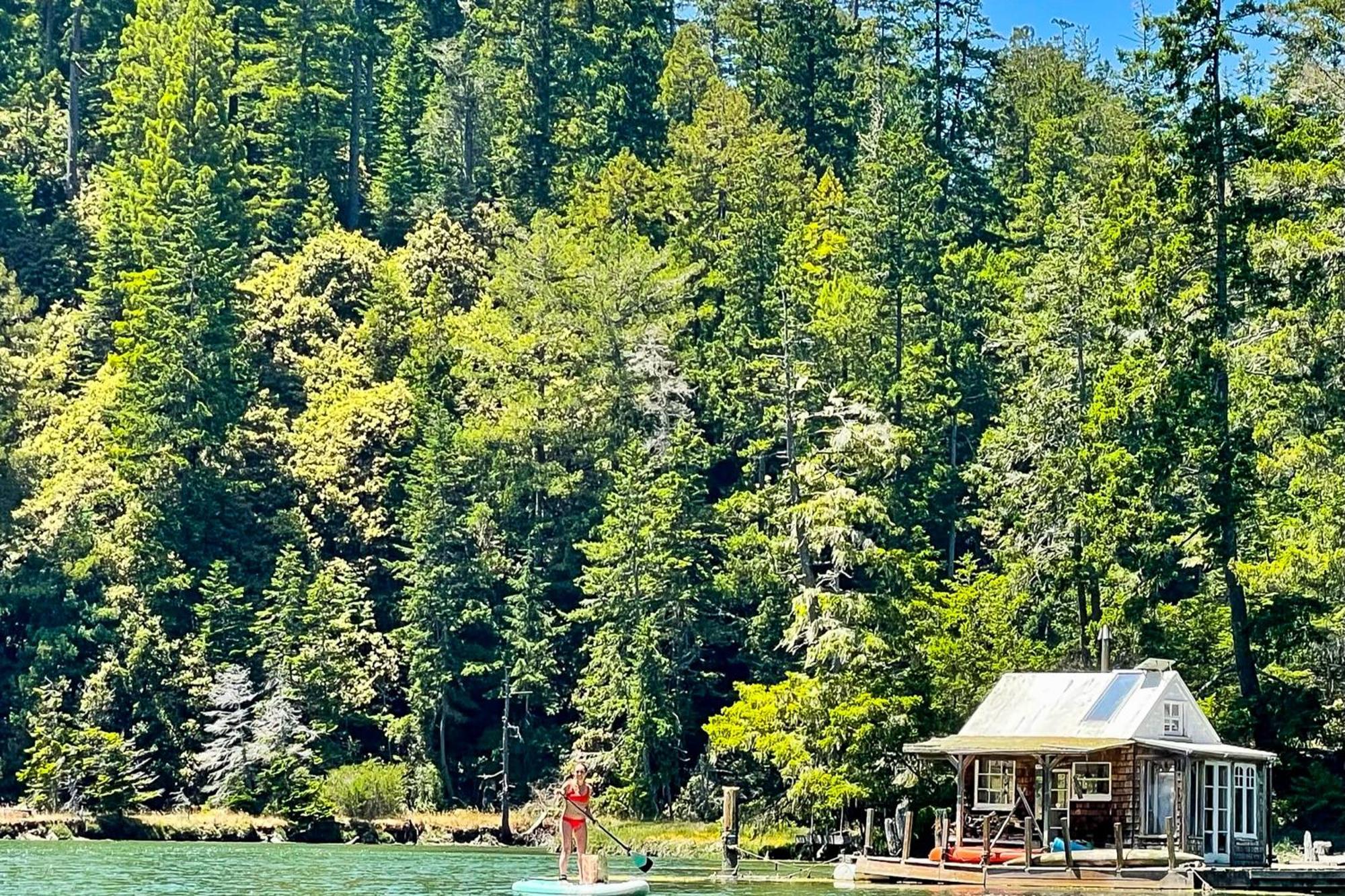 Mendocino Redwood Retreat - Vista Home Albion Extérieur photo
